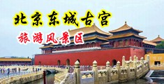 曰本女上司中国北京-东城古宫旅游风景区